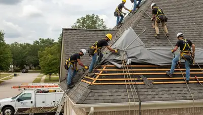 Storm damage tree cleanup in Seattle, WA by Tree Services Seattle WA