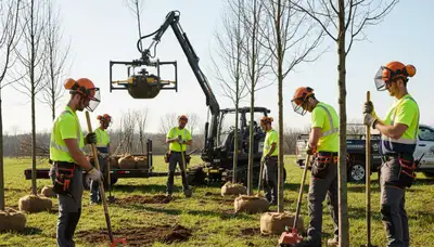 Seattle, WA arborist planting a new tree for local tree service installation