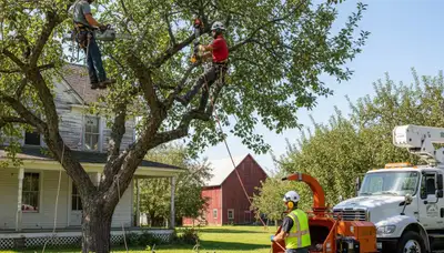 Seattle, WA tree service crew providing professional tree trimming and removal for homeowners